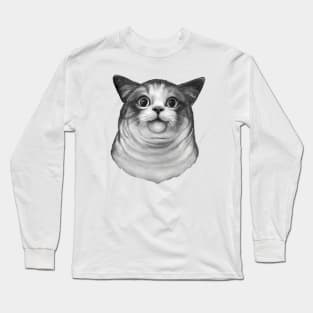 Awkward cat Long Sleeve T-Shirt